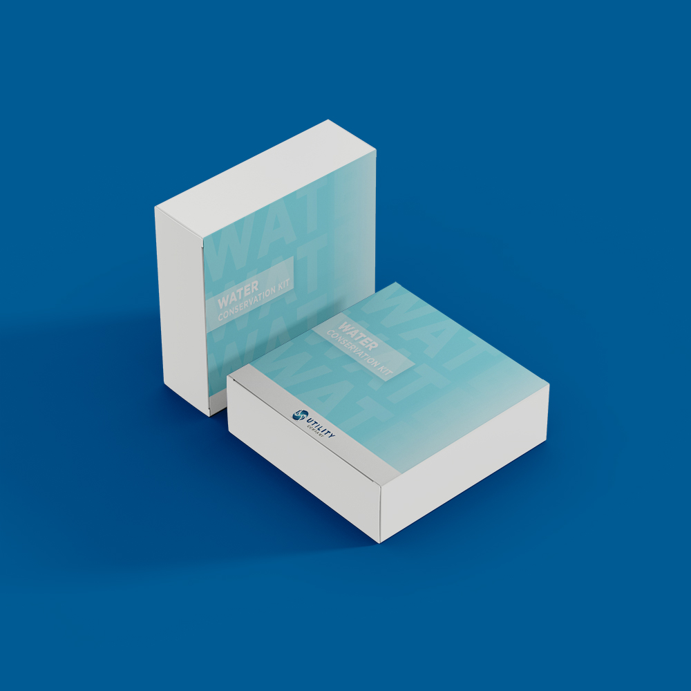 Sample_Kit_12_2box_mockup